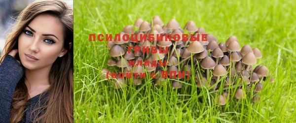 не бодяженный Нефтекумск