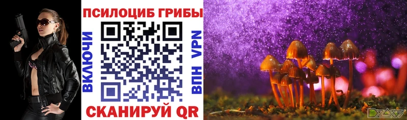 Псилоцибиновые грибы прущие грибы  Купить закладки  Шагонар 