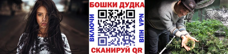 Купить закладки  Шагонар  Бошки марихуана конопля 